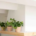 Pere Alcantara 40, 3 Bedroom House,
