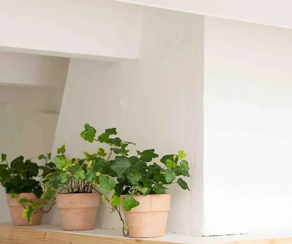 Pere Alcantara 40, 3 Bedroom House,